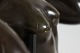 click to zoom click to zoom