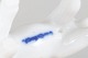 click to zoom