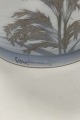 click to zoom