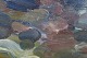 click to zoom