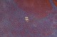 click to zoom