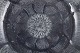 click to zoom click to zoom