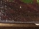 click to zoom