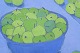 click to zoom