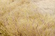 click to zoom
