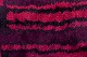 click to zoom