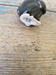 click to zoom