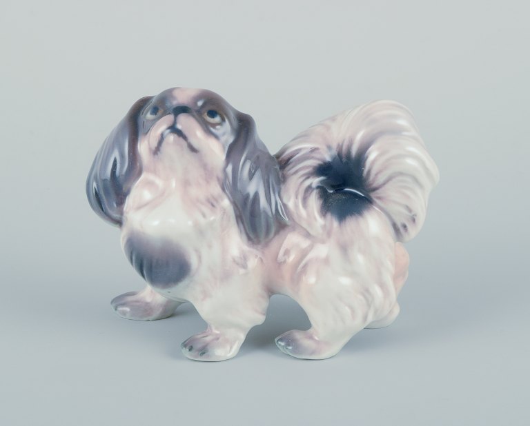 Dahl Jensen, porcelain figurine of a Pekingese.