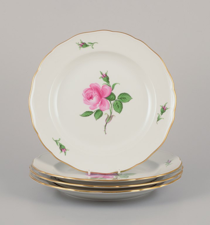 Meissen, Germany. Four dinner plates with a motif of a pink rose.