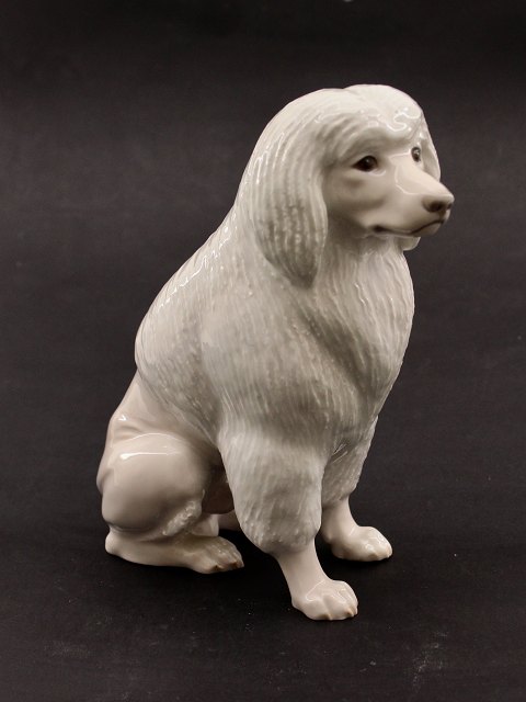 Bing & Grøndahl sitting poodle 1918